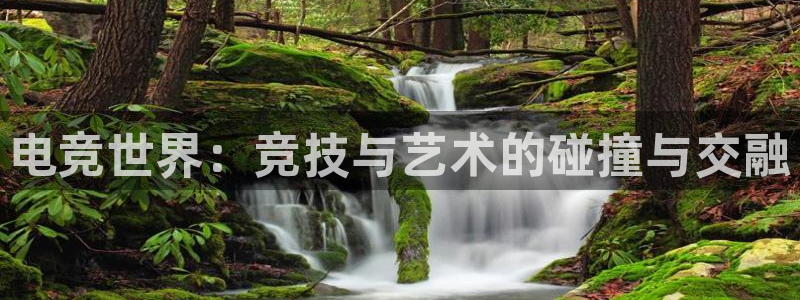 火博电竞app官网网站