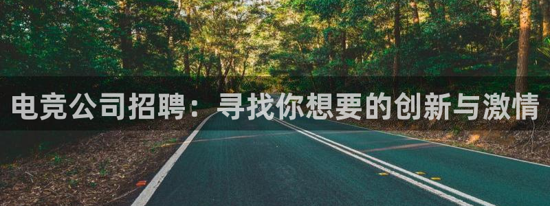 火博电竞官网入口