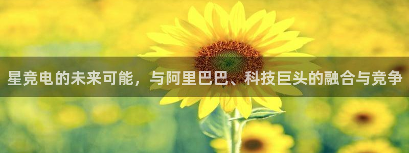 火博电竞
