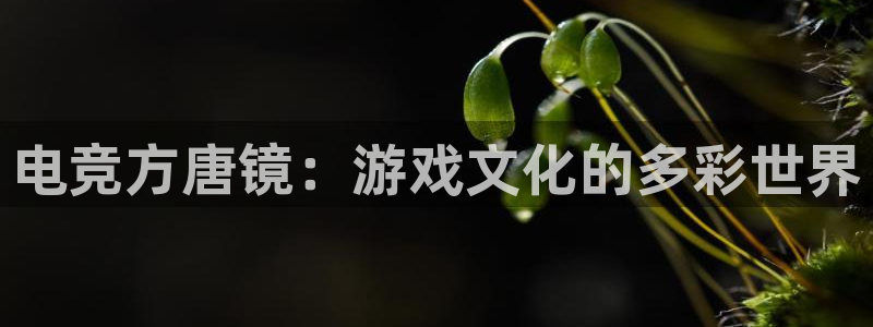 火博电竞官网入口