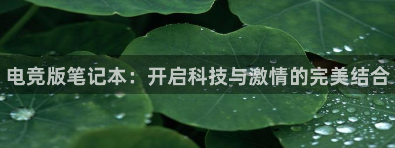火博电竞官网入口