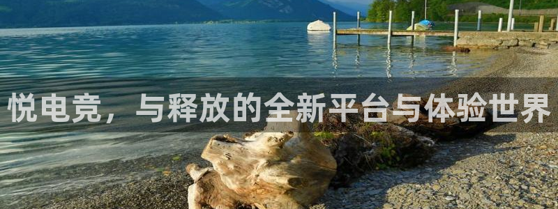 火博电竞网站