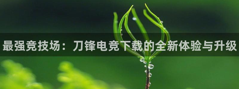 火博电竞app官网网站