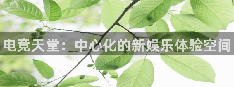 火博电竞app官网网站