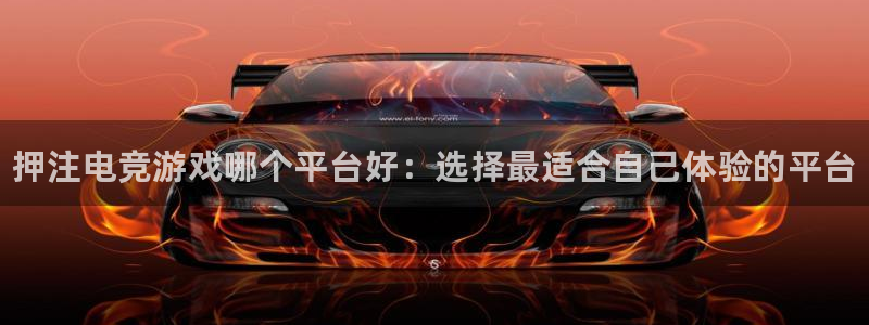 火博电竞网站