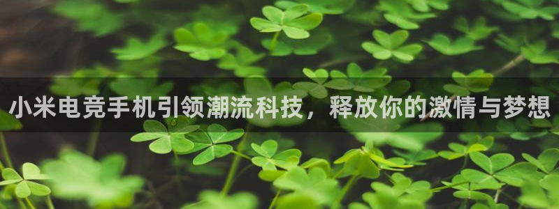 火博电竞