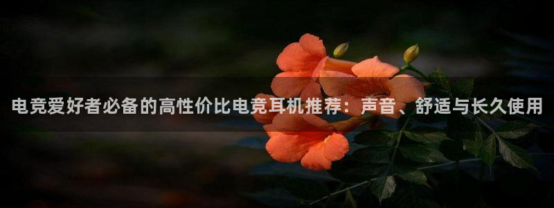 火博电竞