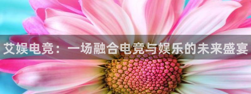 火博电竞网站
