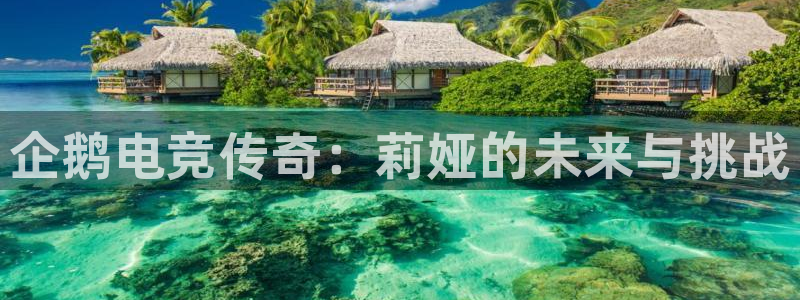 火博电竞官网入口