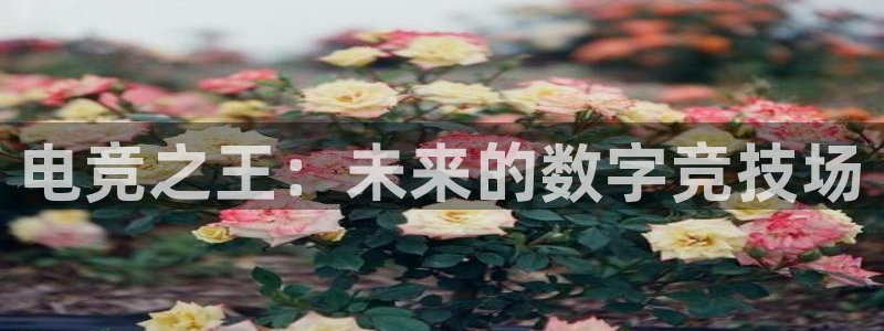 火博电竞网站