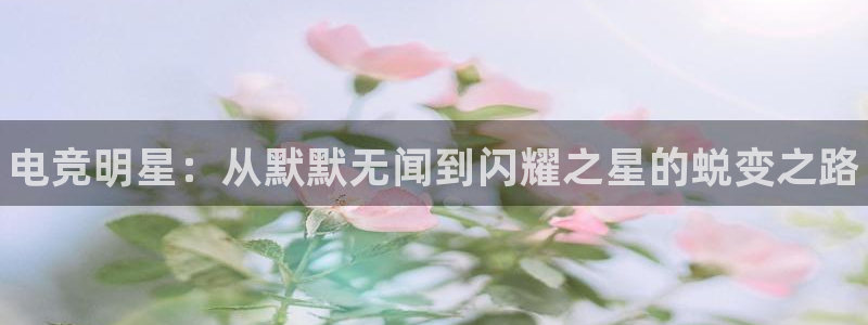 火博电竞官网入口
