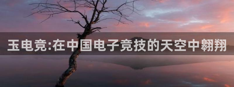 火博电竞