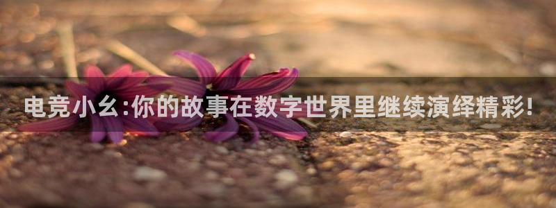 火博电竞