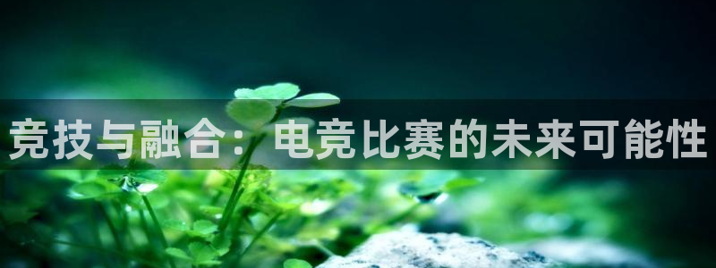 火博电竞app官网网站