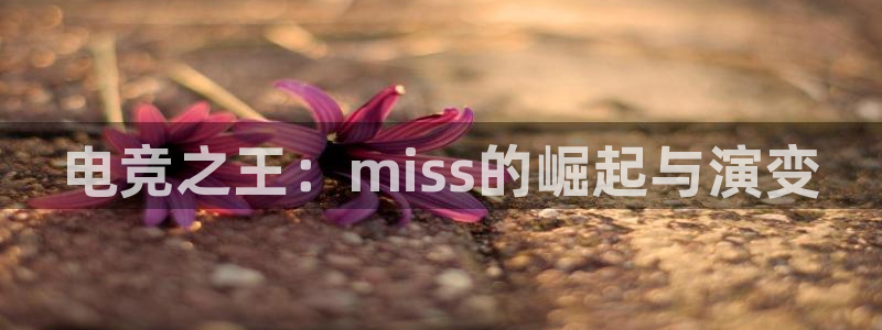 火博电竞