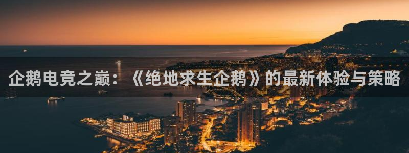 火博电竞