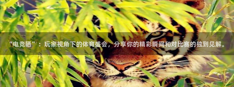 火博电竞网站