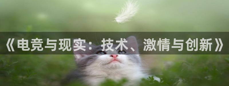 火博电竞官网入口