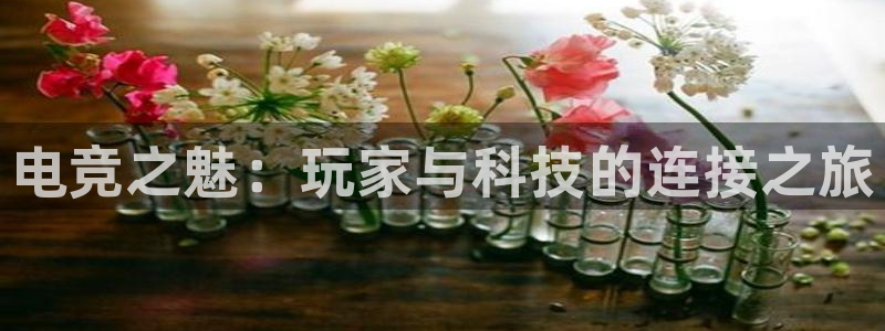 火博电竞