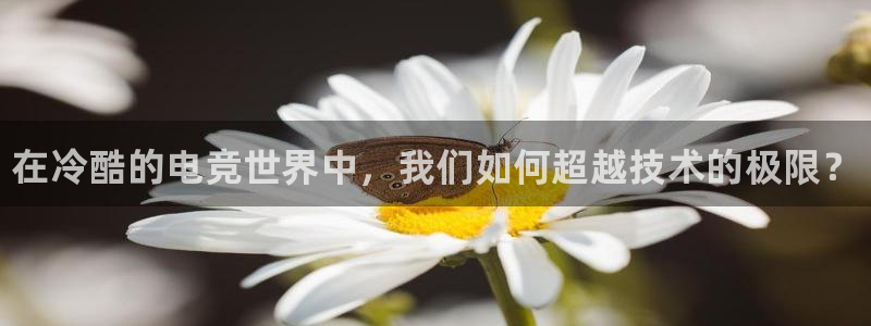 火博电竞app官网网站