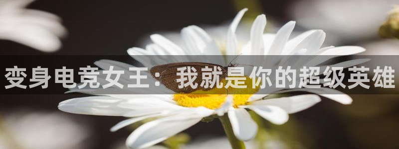 火博电竞网站