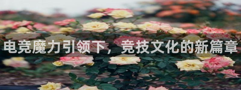 火博电竞