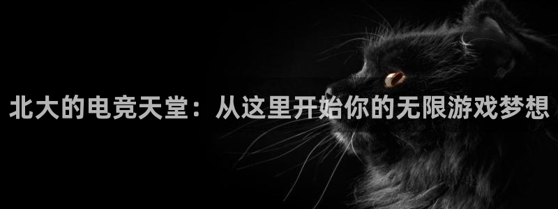 火博电竞网站