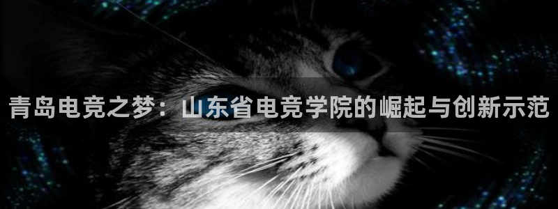 火博电竞网站