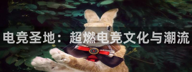 火博电竞：电竞圣地：超燃电竞文化与潮流