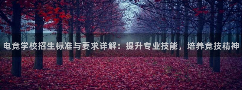 火博电竞