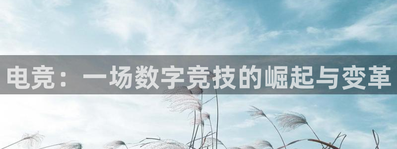 火博电竞网站：电竞：一场数字竞技的崛起与变革