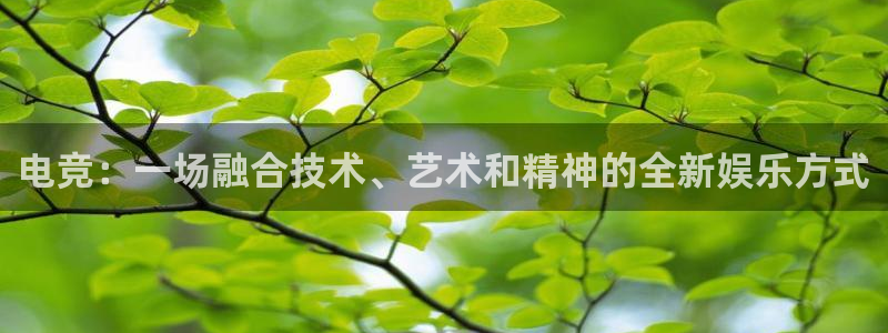 火博电竞app官网网站：电竞：一场融合技术、艺术和精神的全新娱乐方式