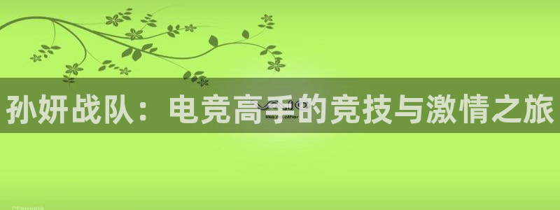 火博电竞app官网网站：孙妍战队：电竞高手的竞技与激情之旅