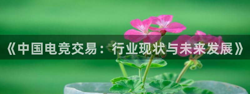 火博电竞：《中国电竞交易：行业现状与未来发展》