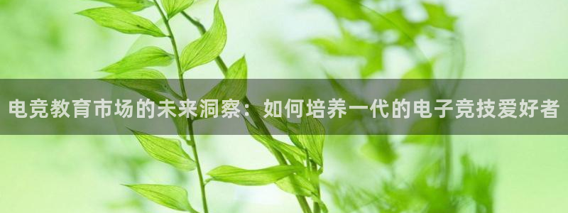 火博电竞网站：电竞教育市场的未来洞察：如何培养一代的电子竞技爱好者
