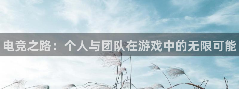 火博电竞：电竞之路：个人与团队在游戏中的无限可能