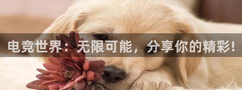 火博电竞网站：电竞世界：无限可能，分享你的精彩!