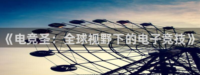 火博电竞官网入口：《电竞圣：全球视野下的电子竞技》
