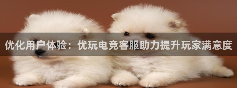 火博电竞官网入口：优化用户体验：优玩电竞客服助力提升玩家满意度