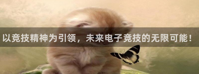 火博电竞网站：以竞技精神为引领，未来电子竞技的无限可能！