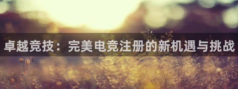 火博电竞：卓越竞技：完美电竞注册的新机遇与挑战