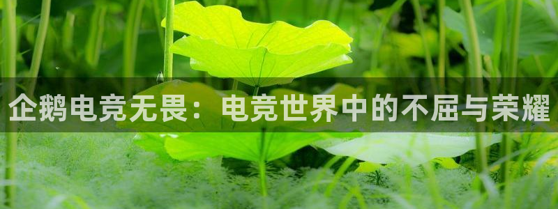 火博电竞官网入口：企鹅电竞无畏：电竞世界中的不屈与荣耀