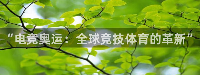 火博电竞网站：“电竞奥运：全球竞技体育的革新”