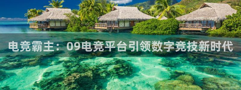 火博电竞app官网网站