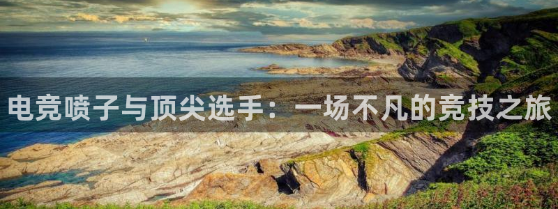 火博电竞官网入口