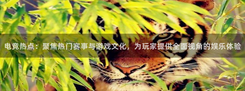 火博电竞