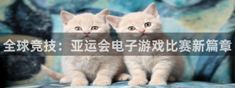 火博电竞官网入口