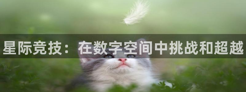 火博电竞app官网网站