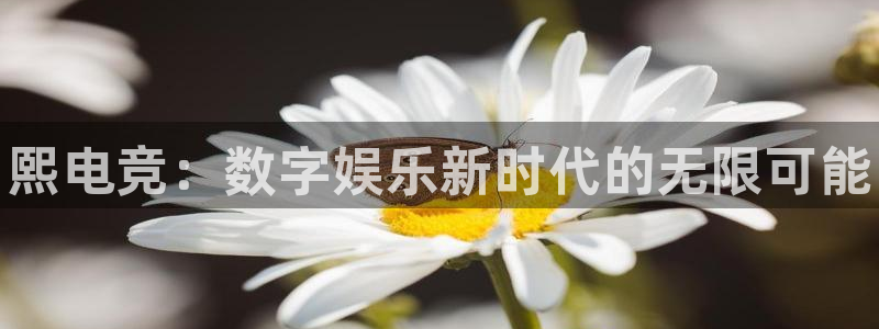 火博电竞网站