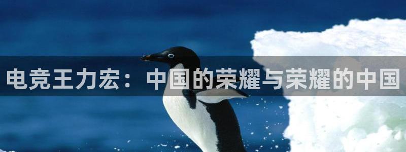 火博电竞